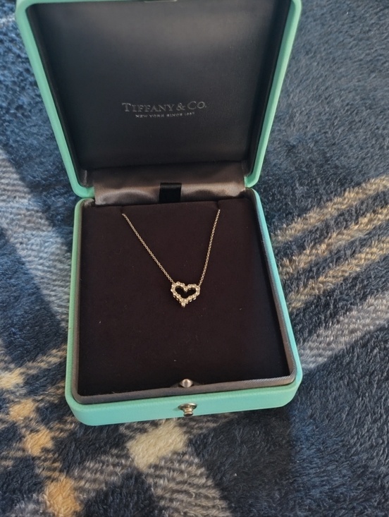 Tiffany & Co. Jewelry - *TRADED*Tiffany & Co. Platinum And Diamond Heart Pendant Necklace